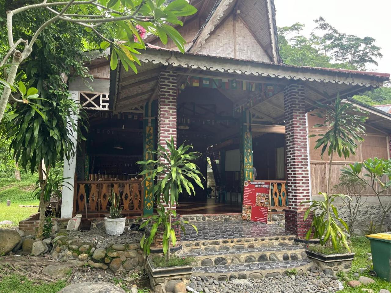 Pongo Guest House & Jungle Trekking بوكيت لاوانج المظهر الخارجي الصورة