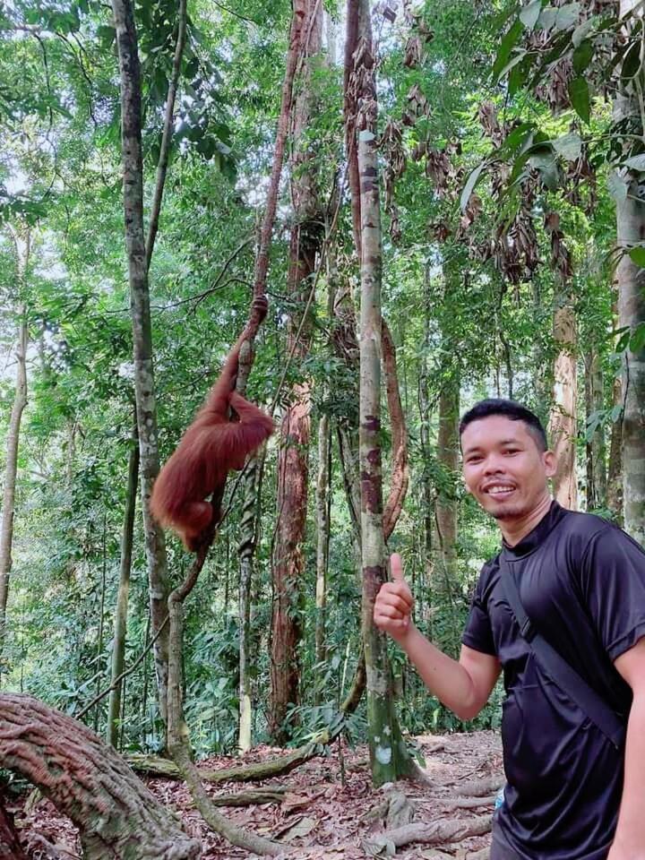 Pongo Guest House & Jungle Trekking بوكيت لاوانج المظهر الخارجي الصورة