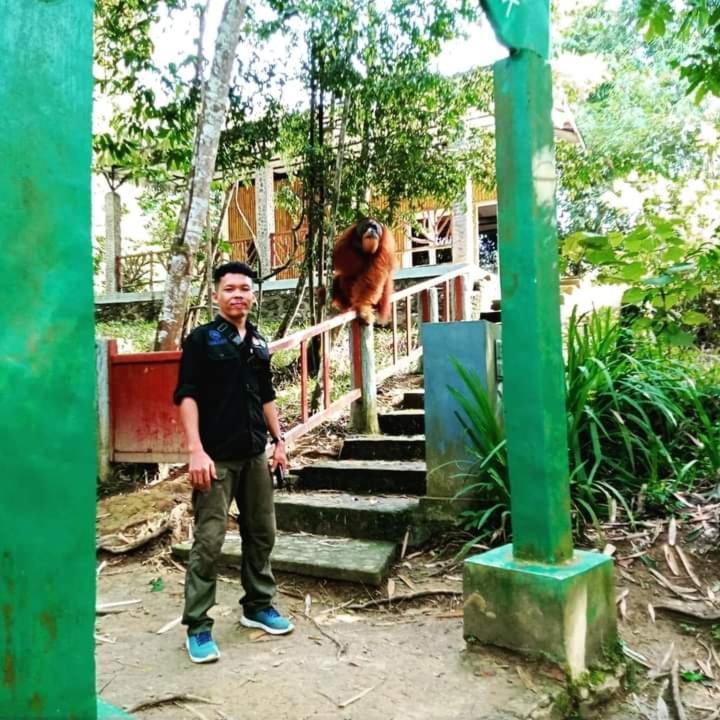 Pongo Guest House & Jungle Trekking بوكيت لاوانج المظهر الخارجي الصورة