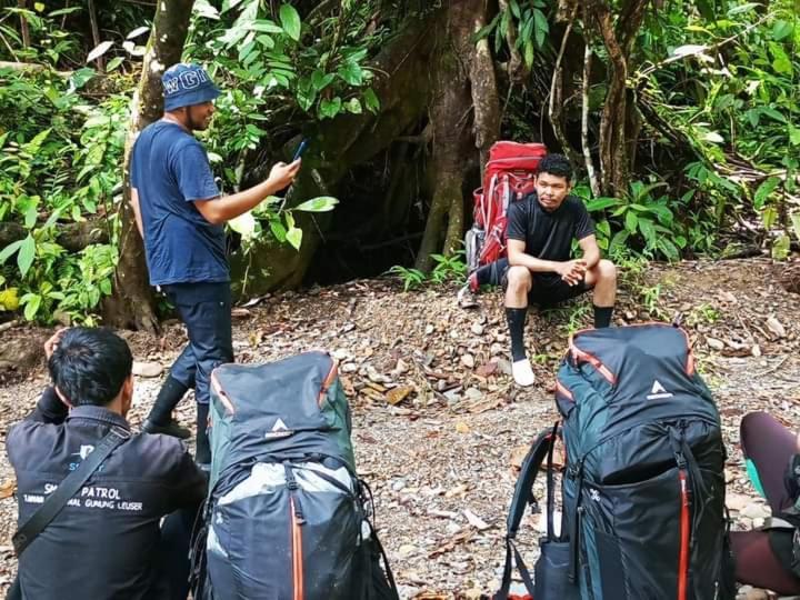 Pongo Guest House & Jungle Trekking بوكيت لاوانج المظهر الخارجي الصورة