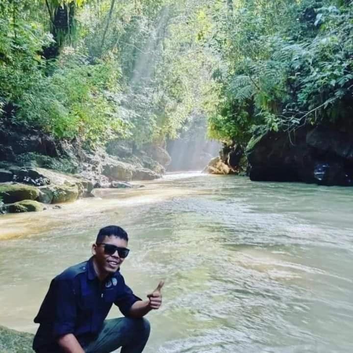 Pongo Guest House & Jungle Trekking بوكيت لاوانج المظهر الخارجي الصورة