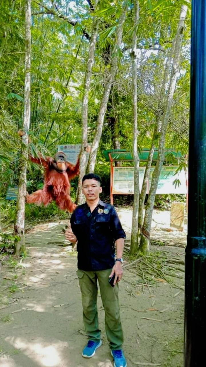 Pongo Guest House & Jungle Trekking بوكيت لاوانج المظهر الخارجي الصورة