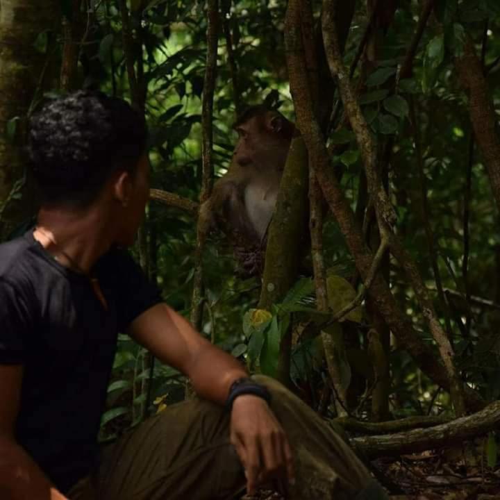 Pongo Guest House & Jungle Trekking بوكيت لاوانج المظهر الخارجي الصورة