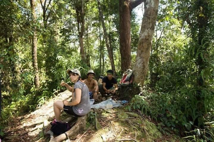 Pongo Guest House & Jungle Trekking بوكيت لاوانج المظهر الخارجي الصورة