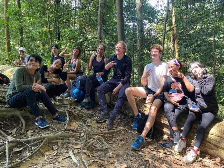 Pongo Guest House & Jungle Trekking بوكيت لاوانج المظهر الخارجي الصورة