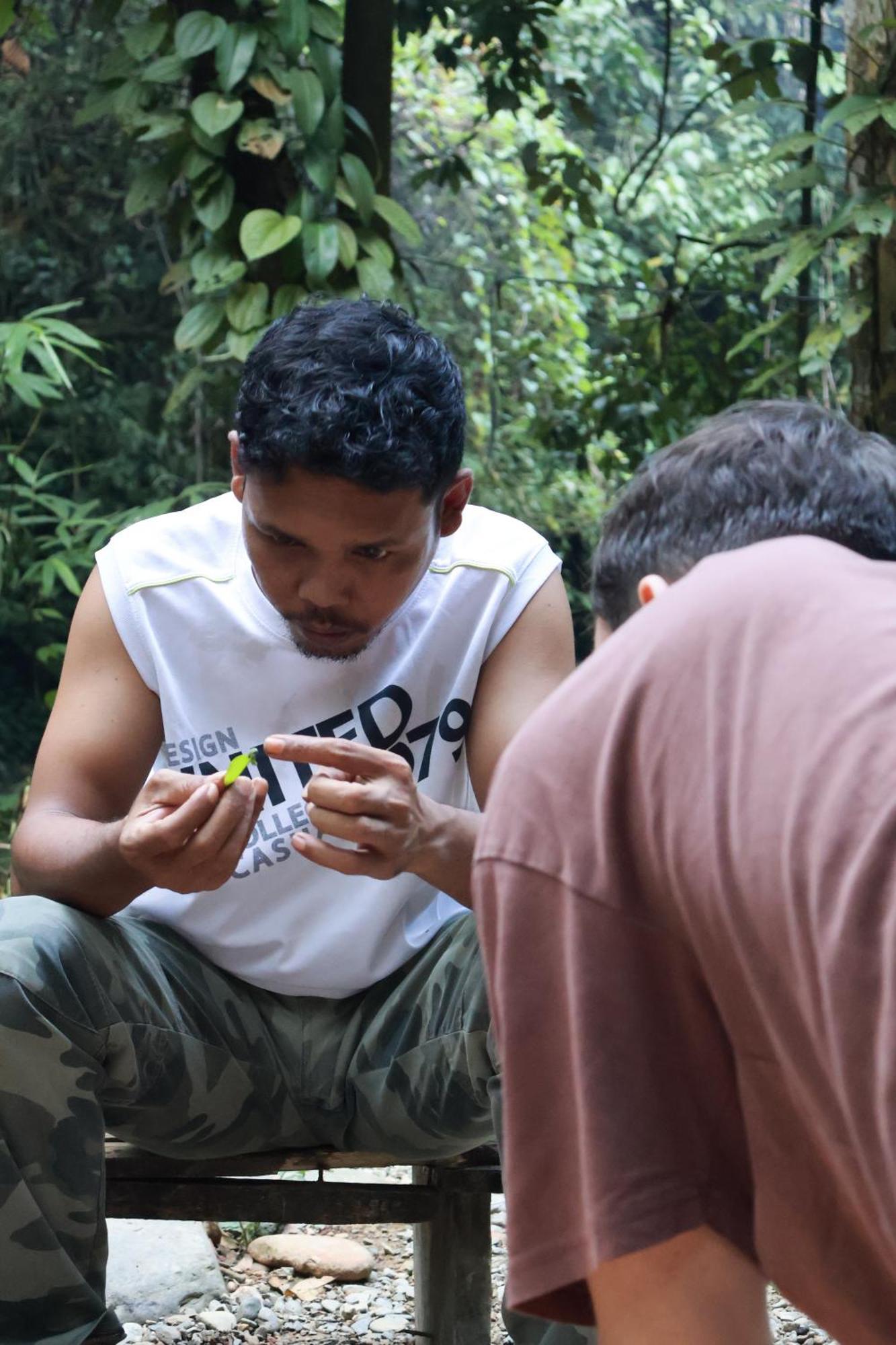 Pongo Guest House & Jungle Trekking بوكيت لاوانج المظهر الخارجي الصورة