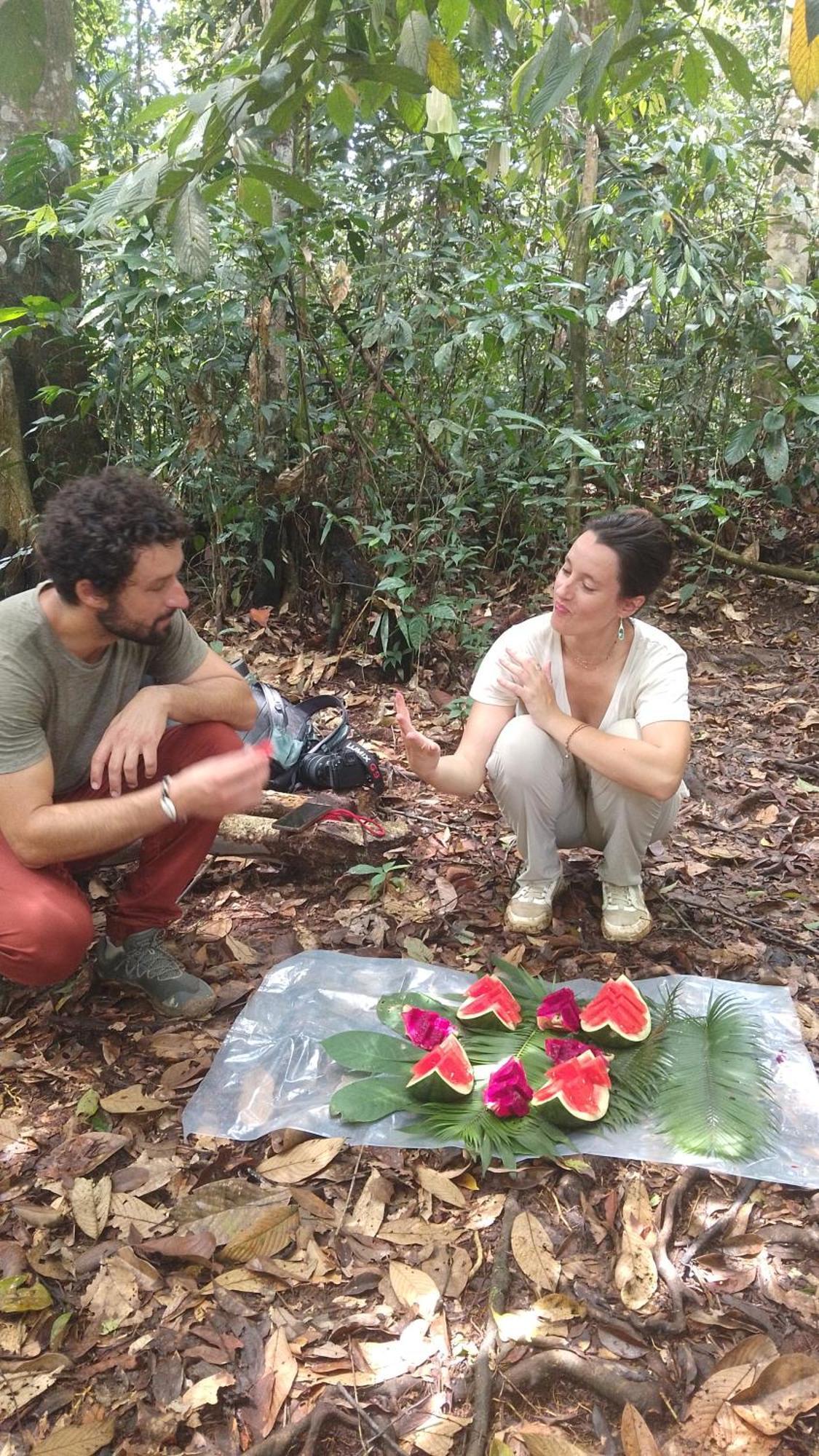 Pongo Guest House & Jungle Trekking بوكيت لاوانج المظهر الخارجي الصورة
